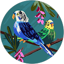 Dominik Summer profile picture